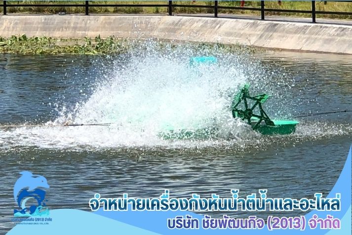 กังหันน้ำเติมออกซิเจน บำบัดน้ำเสีย จัดส่งพร้อมติดตั้งฟรี กังหันน้ำเติมออกซิเจน บำบัดน้ำเสีย จัดส่งพร้อมติดตั้งฟรี